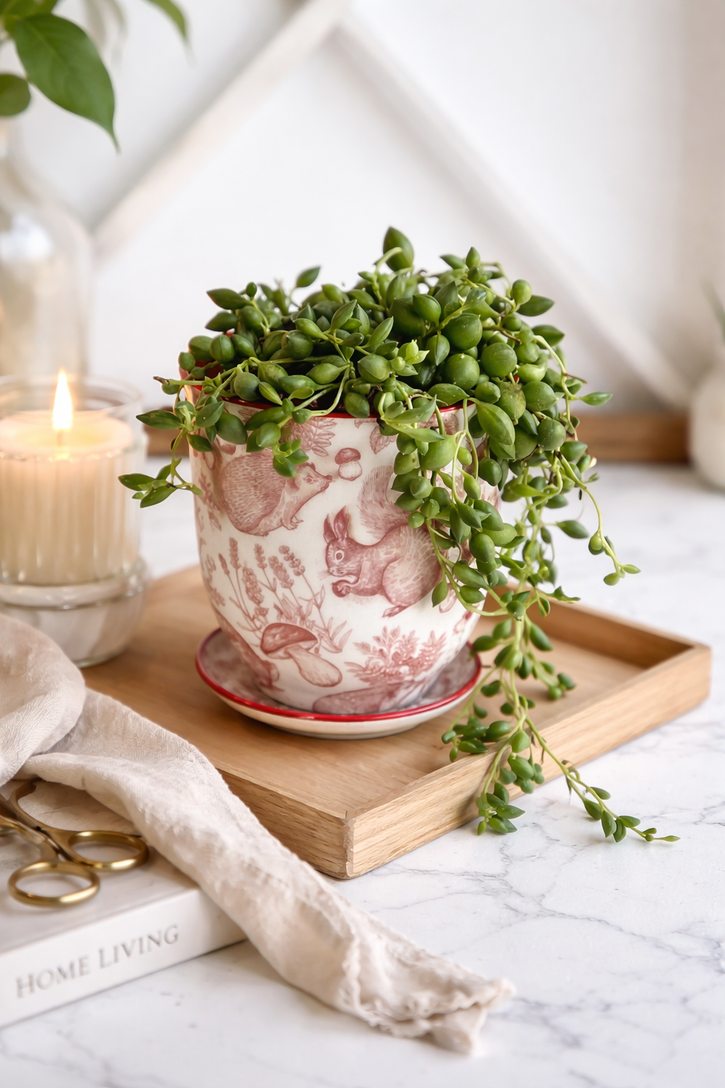 String of tears in Decorative Pot