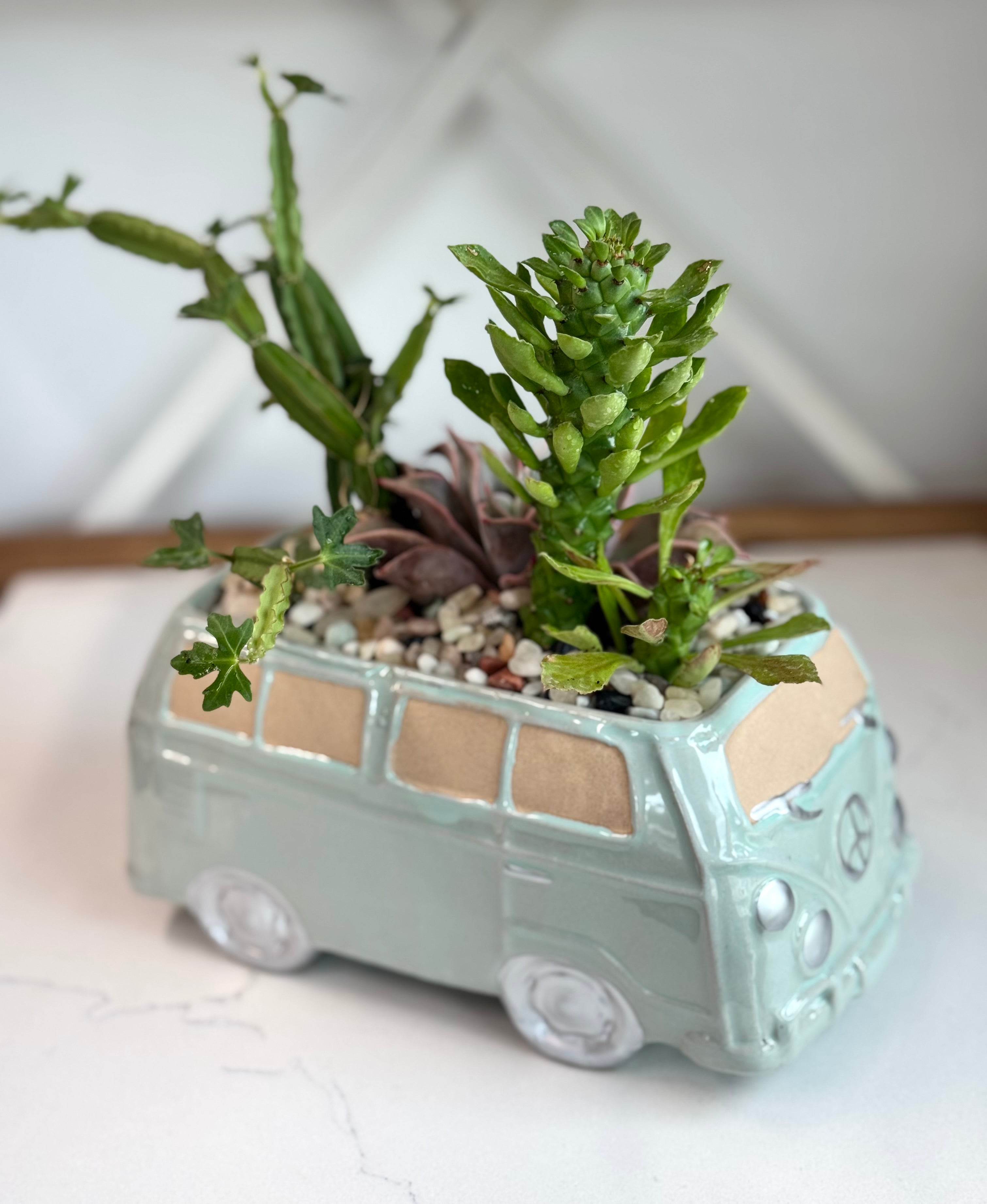 Succulent arrangement in Blue VW Van Planter