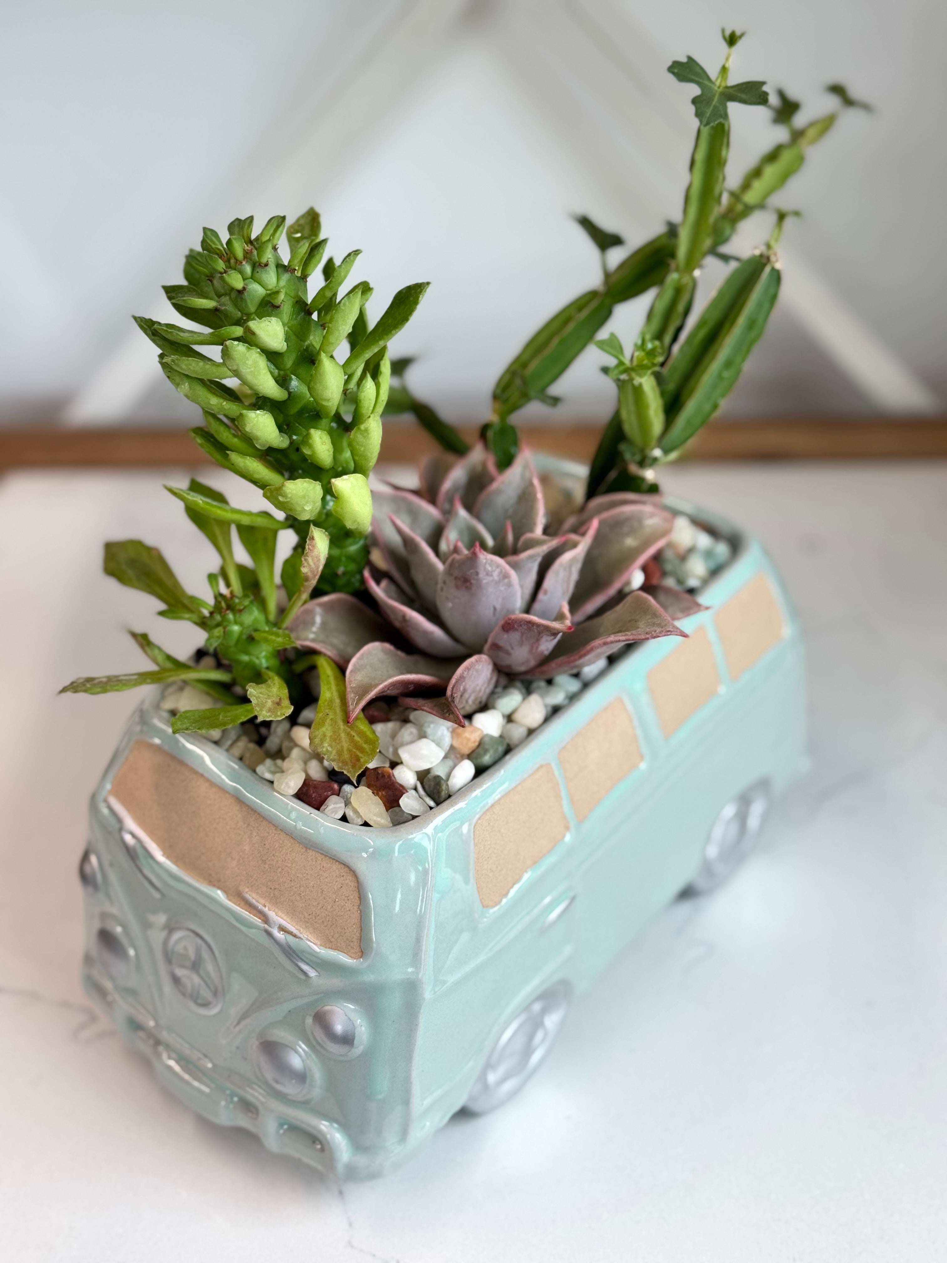 Succulent arrangement in Blue VW Van Planter