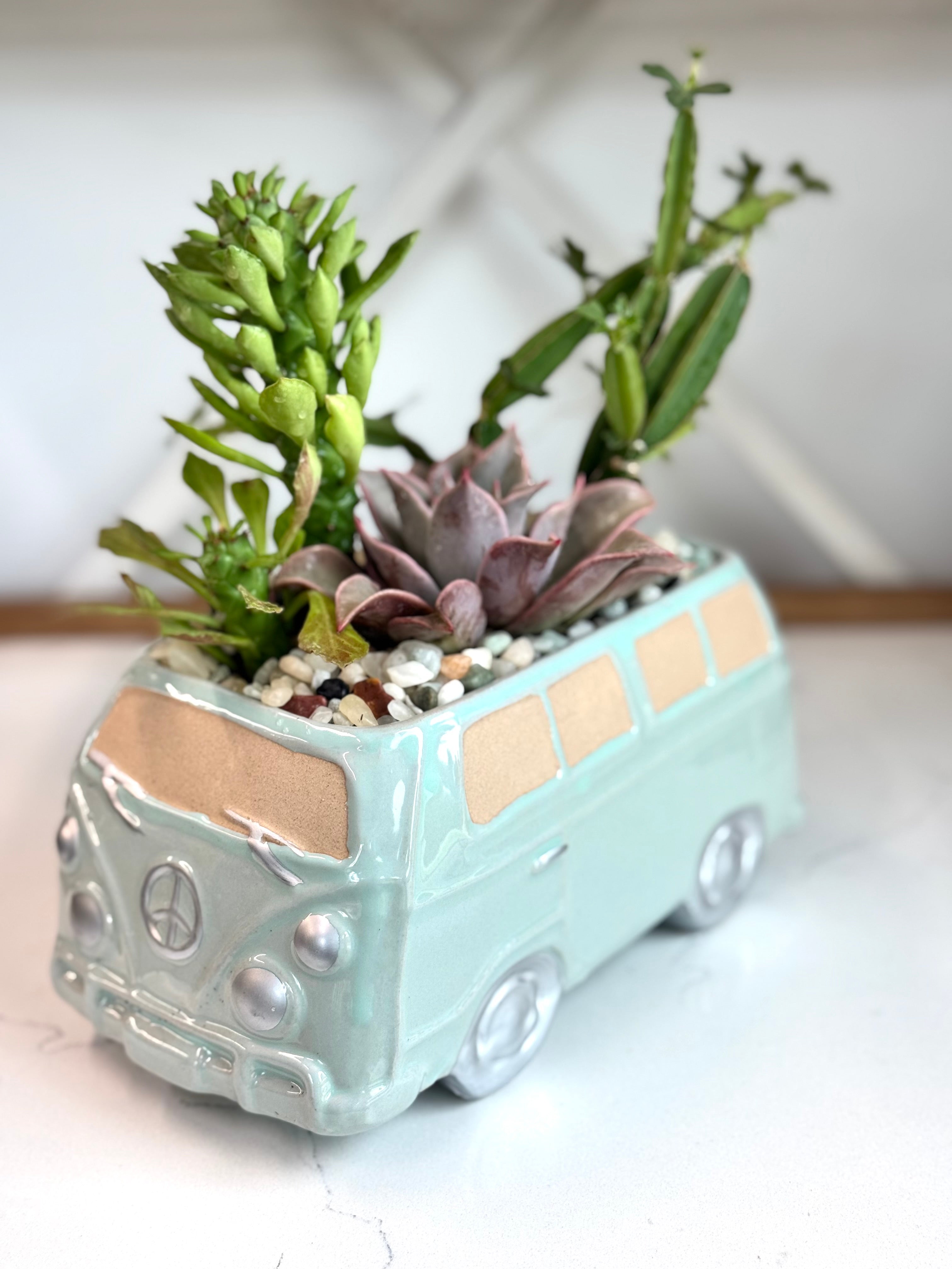 Succulent arrangement in Blue VW Van Planter