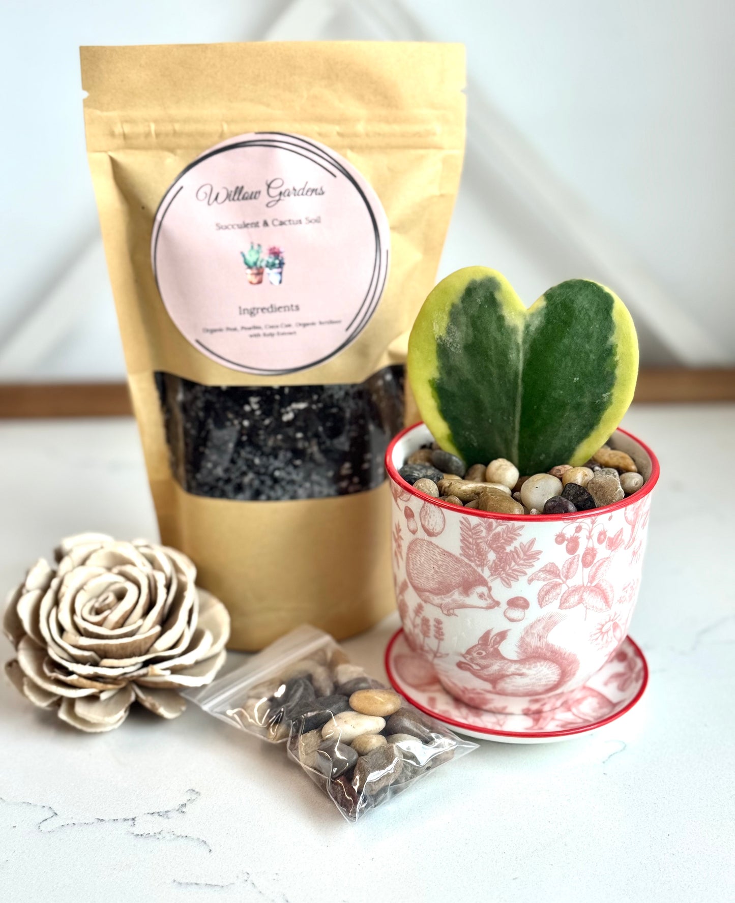 Hoya Kerrii Heart - DIY Box