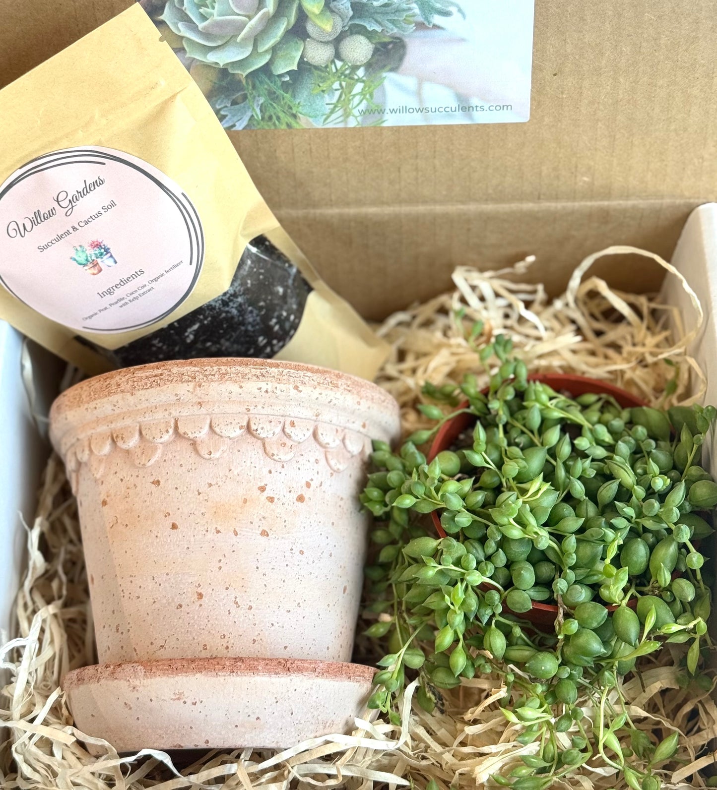 String of tears DIY Gift Box