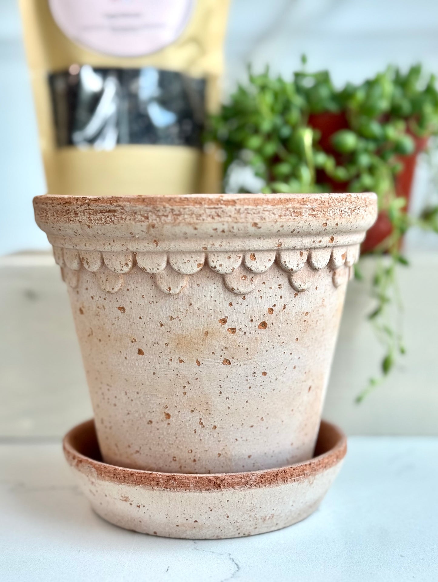 Bergs Italian Pot with drainage hole