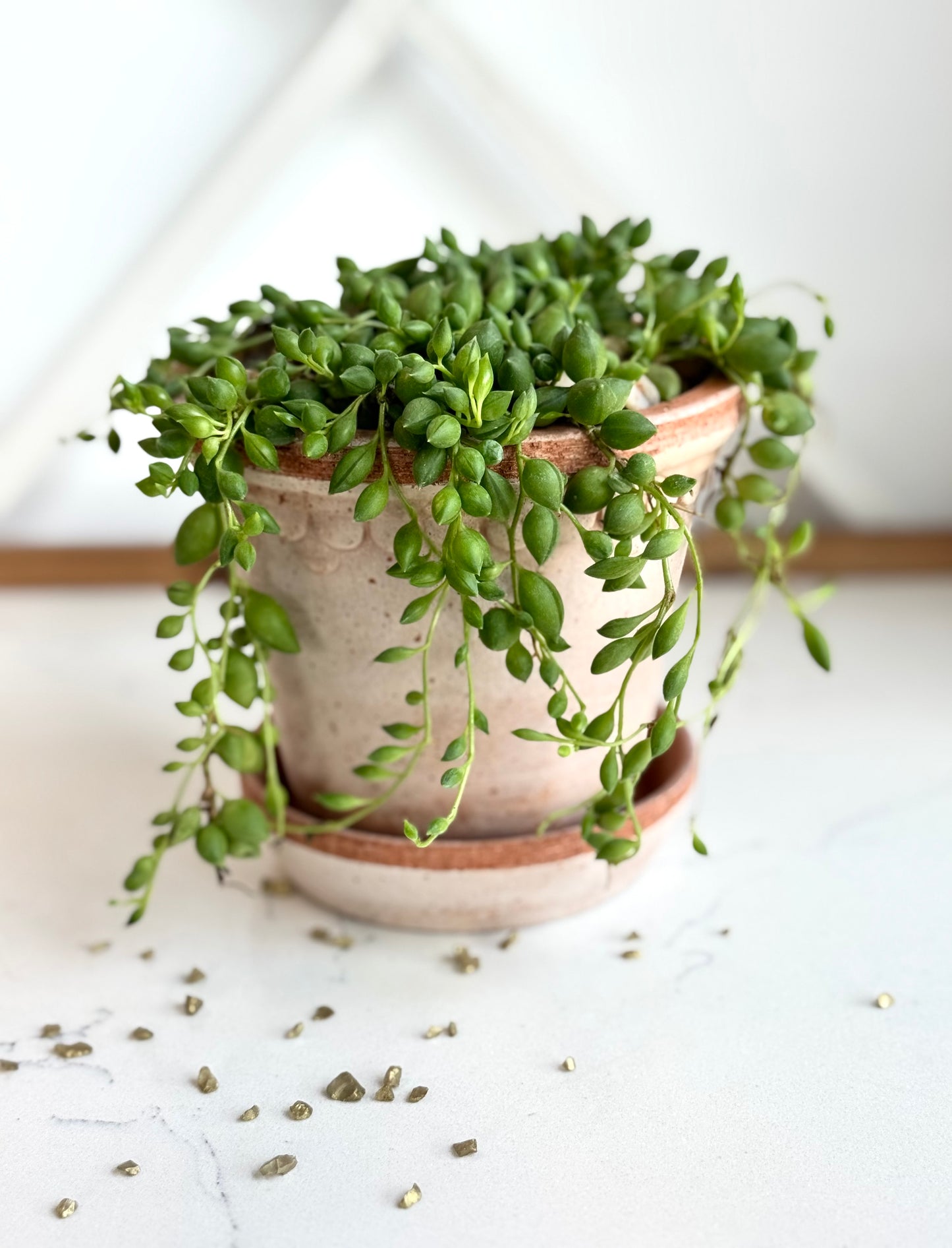 String of tears DIY Gift Box