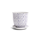Liberte Porcelain Pot and Saucer Set with drainage