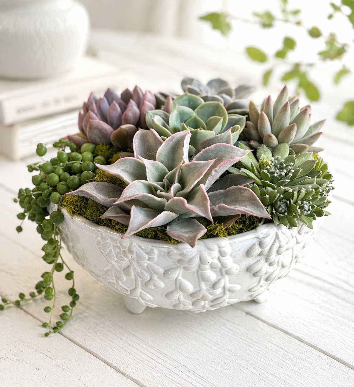 Mixed Succulent Arrangement in White Vine Bowl | Long-Lasting Gift
