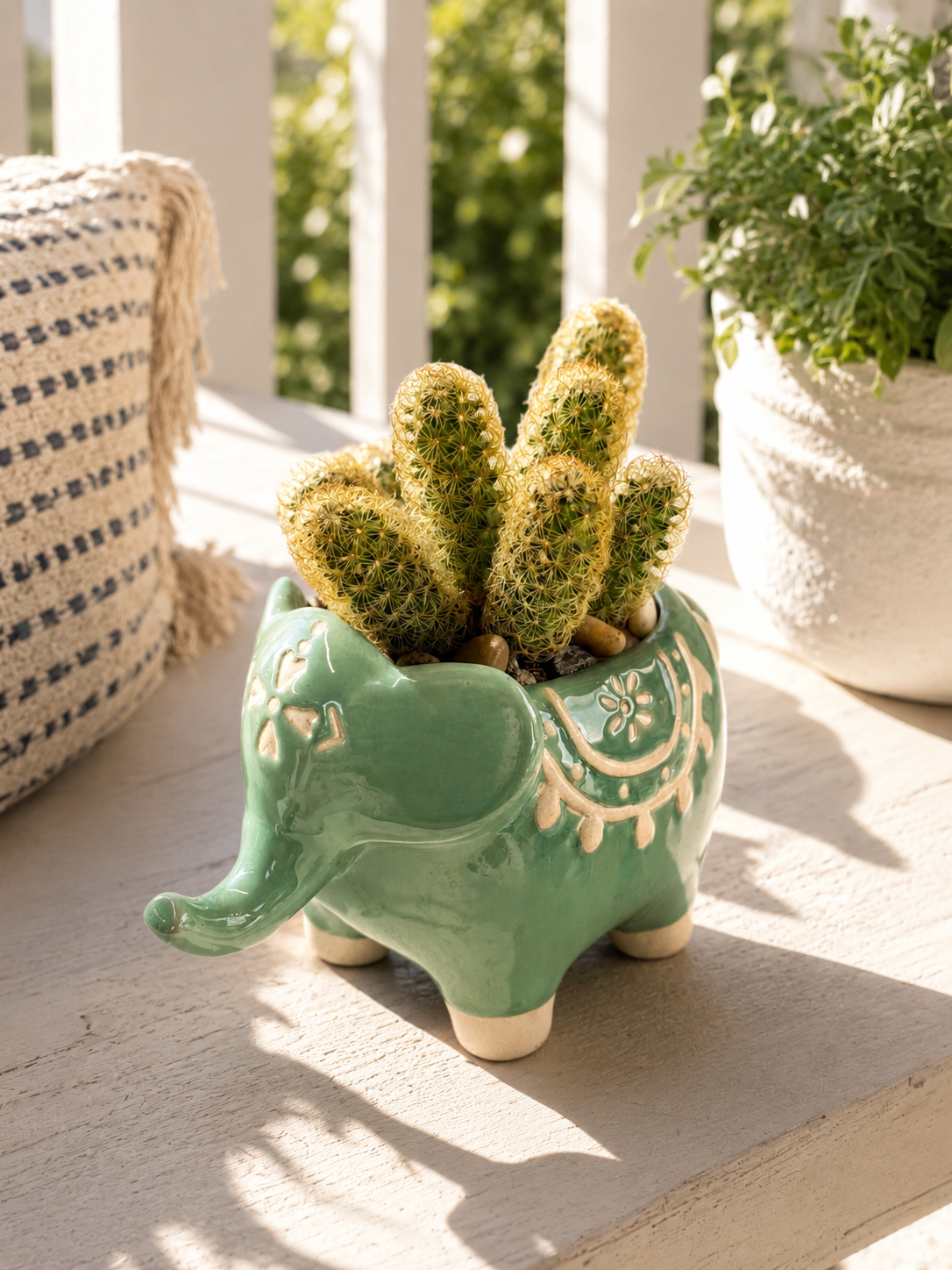 Lady Finger Cactus in Decorative Elephant Planter