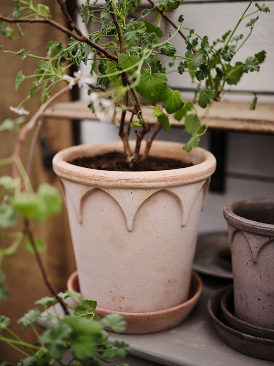 Elizabeth Pot