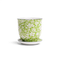 Liberte Porcelain Pot and Saucer Set with drainage