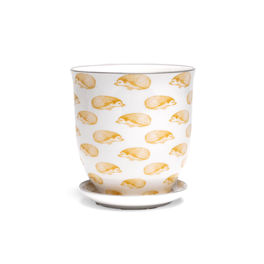 Liberte Porcelain Pot and Saucer Set with Drainage