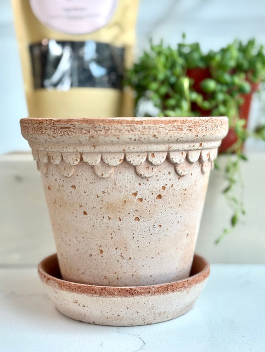 Bergs Italian Pot with drainage hole