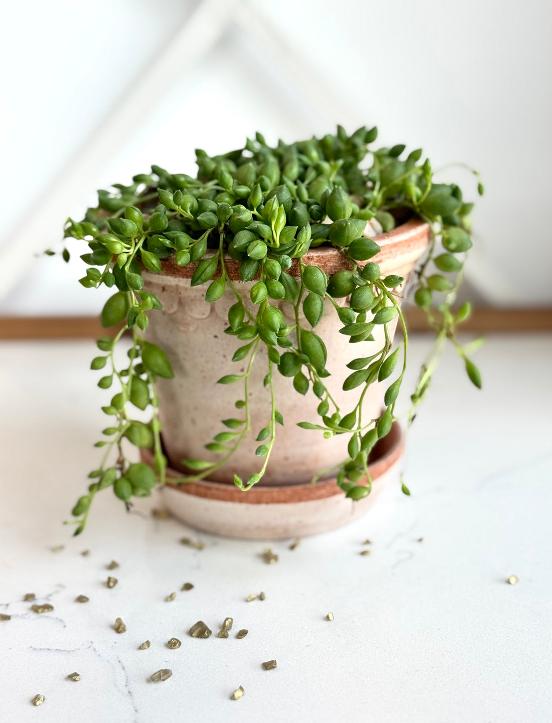 String of tears DIY Gift Box
