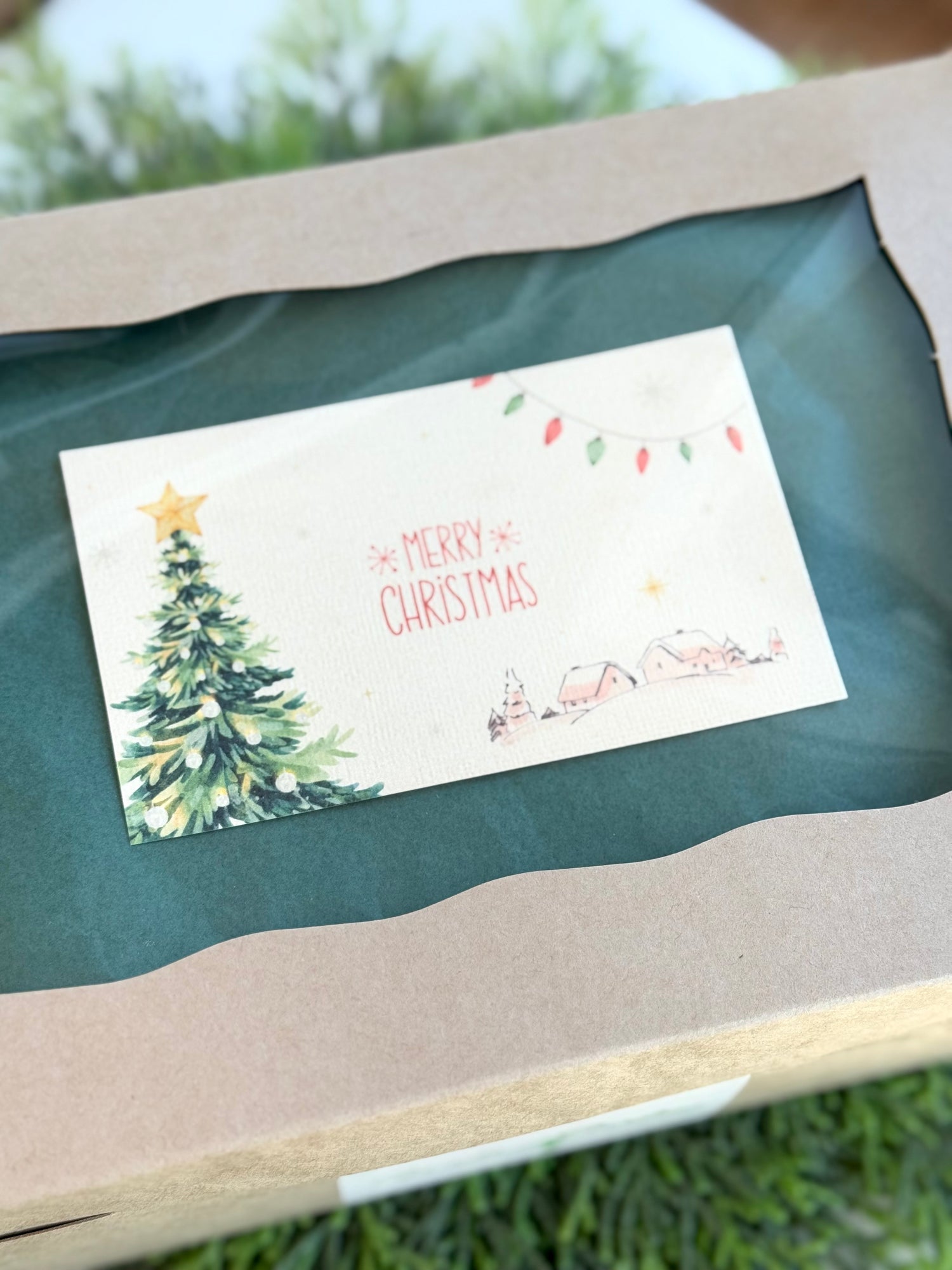 Holiday Succulent Gift Box