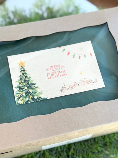 Holiday Succulent Gift Box