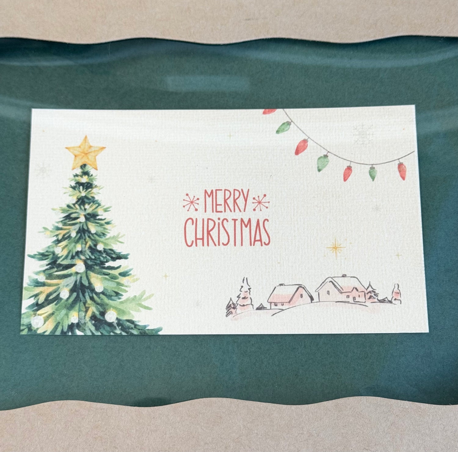 Holiday Succulent Gift Box