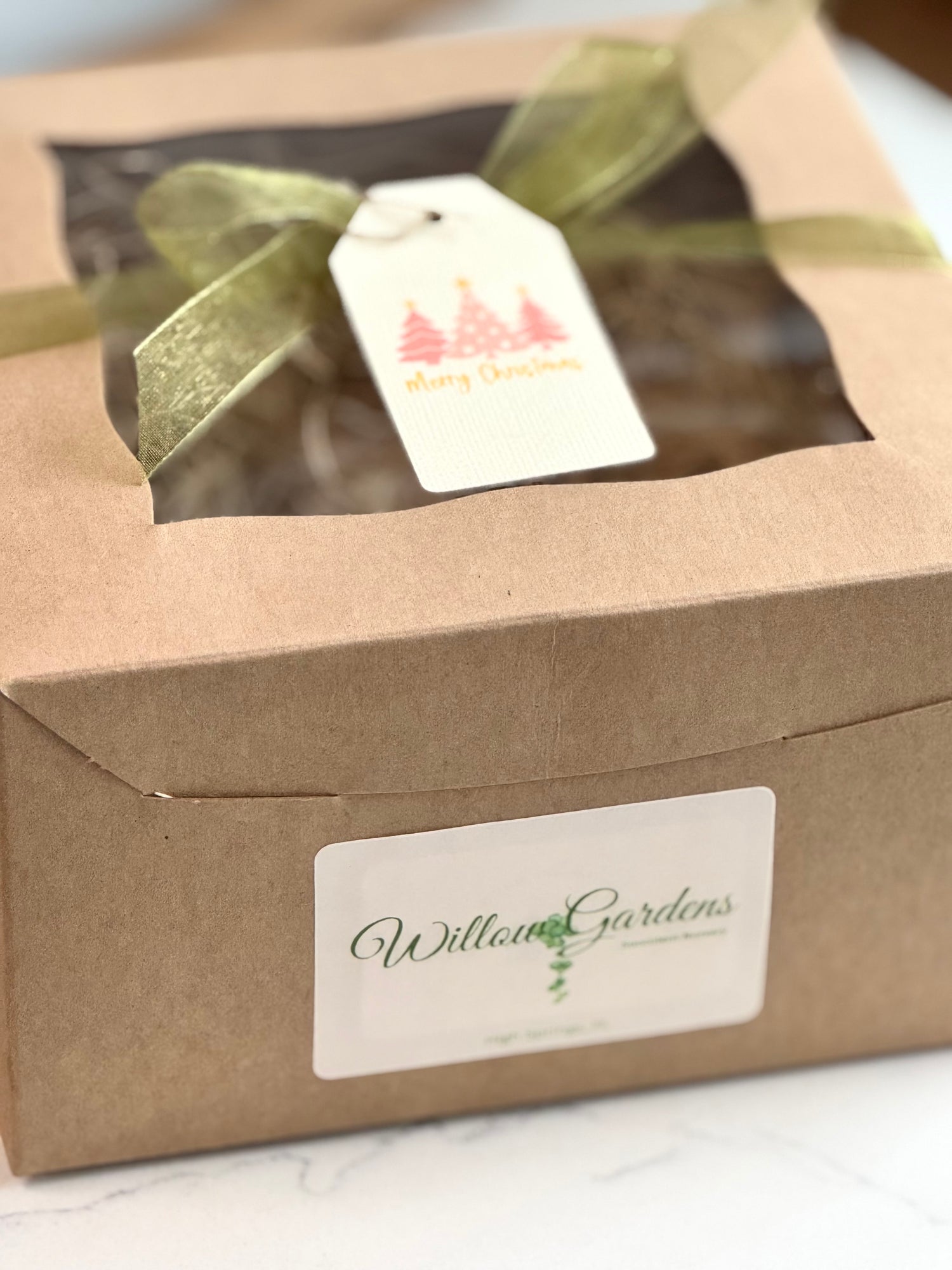 Flame Hoya Kerrii Heart + Variegated String of Hearts