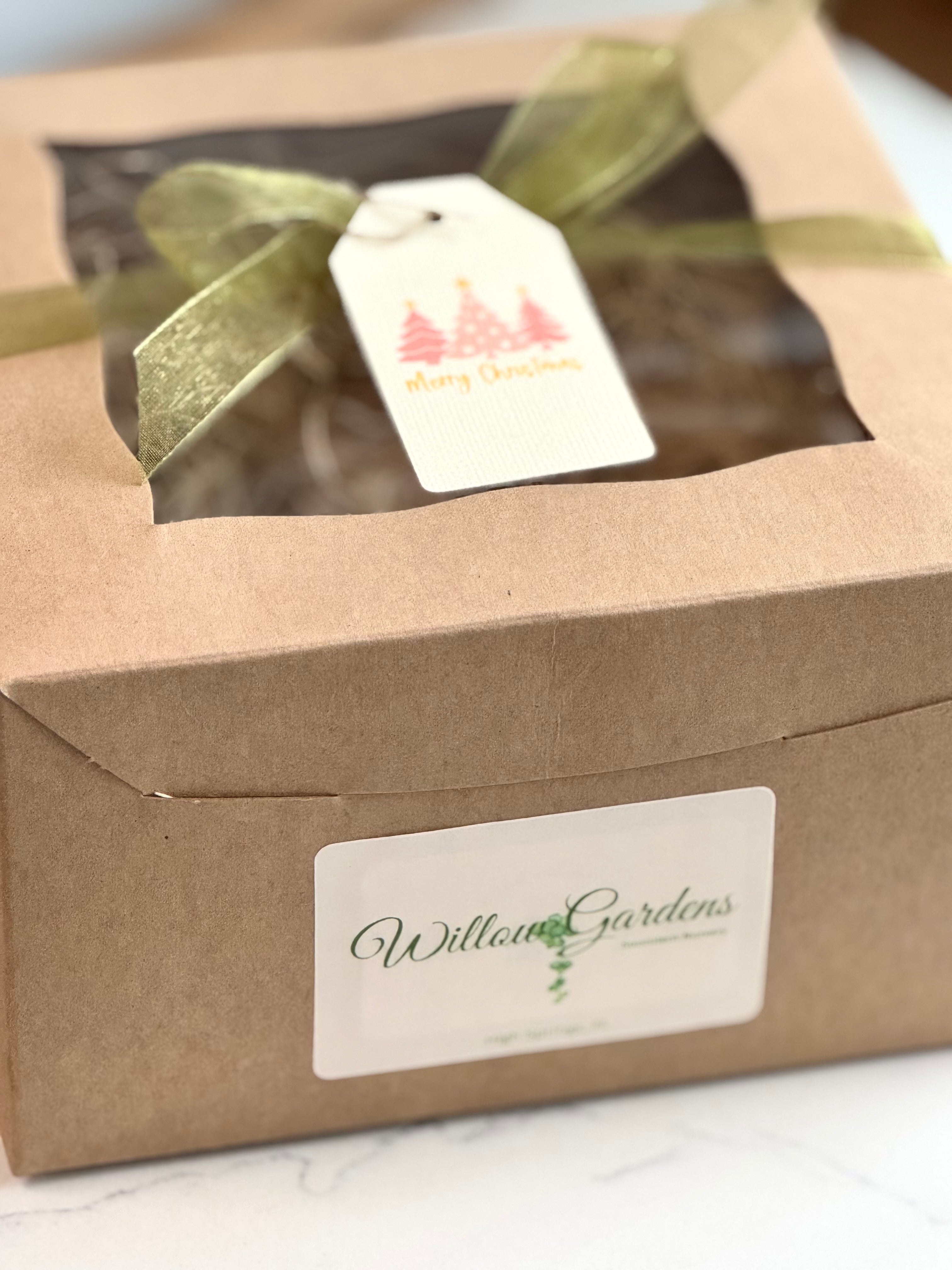 Flame Hoya Kerrii Heart + Variegated String of Hearts