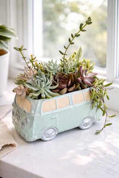 vw beetle plant pot Succulent arrangement in Blue VW Van Planter – Willow Gardens